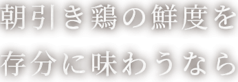 朝引き鶏の鮮度を存分に味わうなら